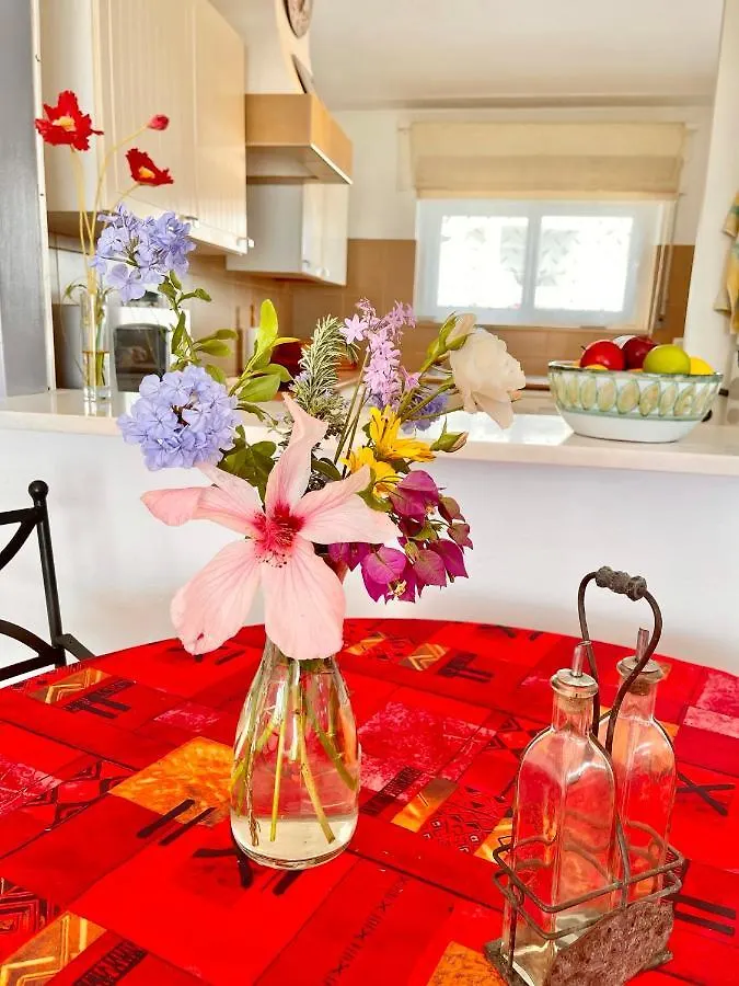 Vila Vista Luz Lagos Holiday home